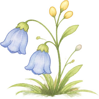 blue flowers