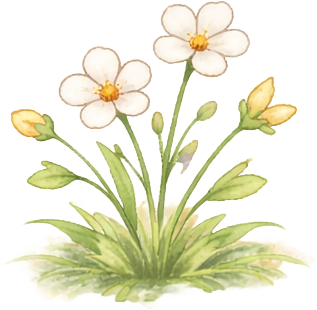 white flowers